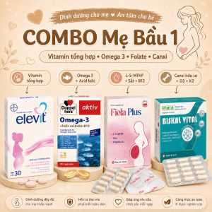 Combo dinh dưỡng thai kỳ 1