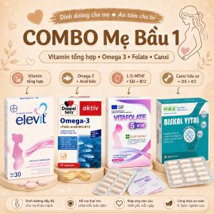 Combo dinh dưỡng thai kỳ 1
